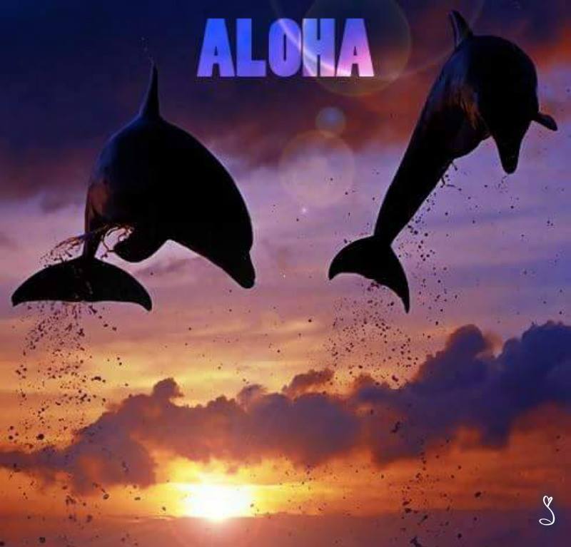aloha4
