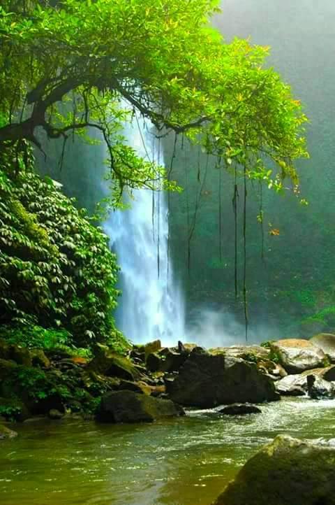 13236255_1102983869761493_1595601167_n