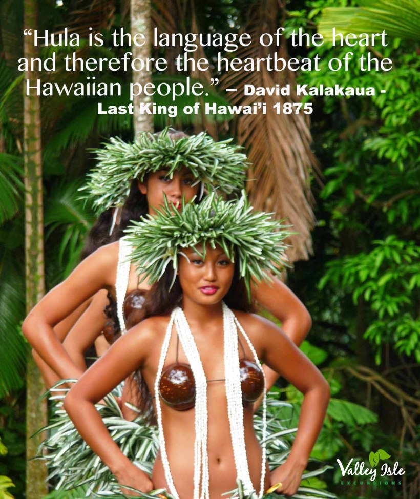 Quotes-Provebs-of-Hawaii-250k-4