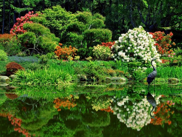 treasures-of-the-earth-worldwide-natural-landscapes-photography-vol02-oriental-garden-shore-acres-state-park-oregon--wallpaper-45789