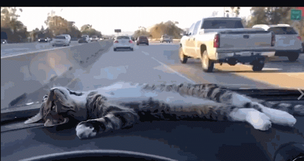 How-I-Feel-Anabell-Hilarski