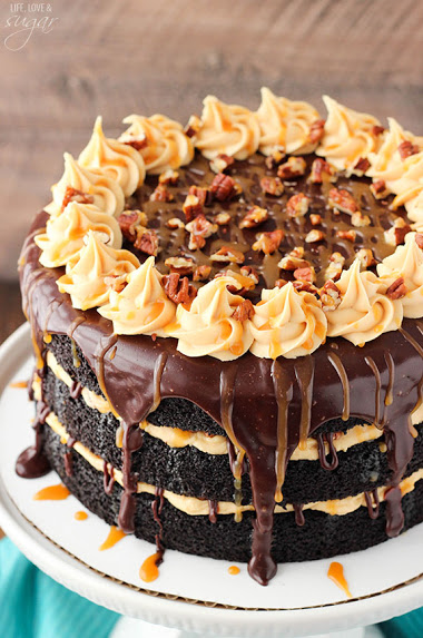 Turtle_Chocolate_Cake5
