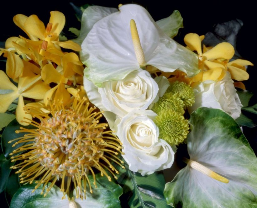 P1218-R6-8-1200-1024x829