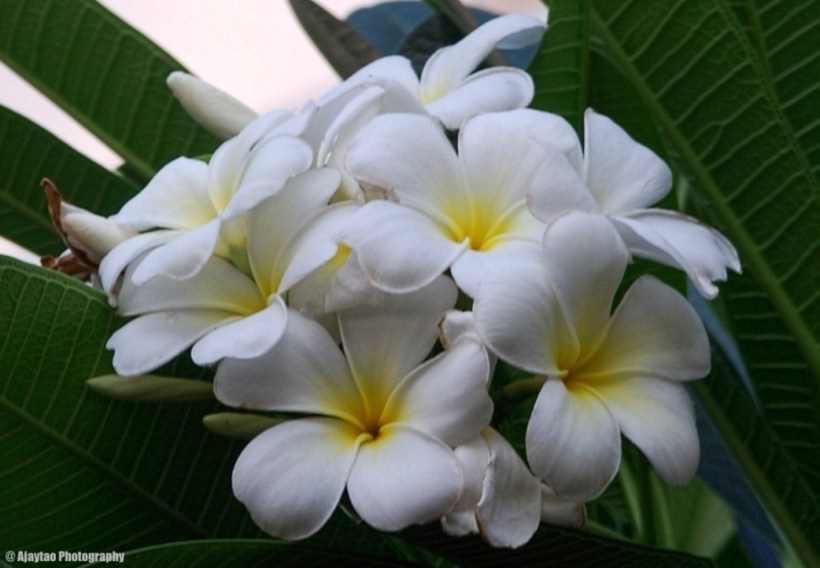 ????????????????????????????????????