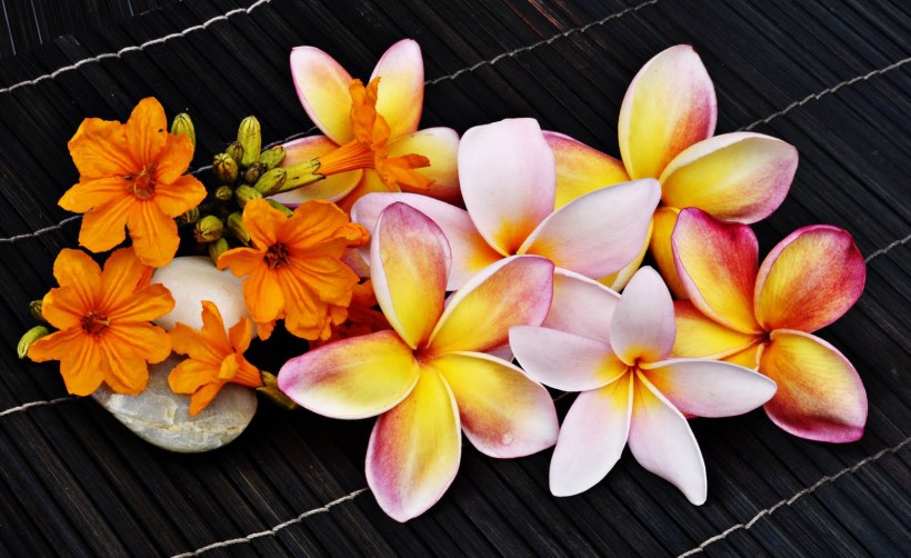 shutterstock_56476663