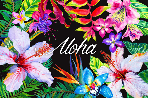 aloha_flowers
