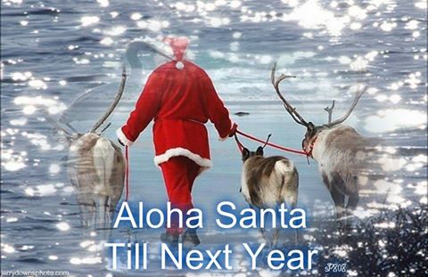 aloha-santa