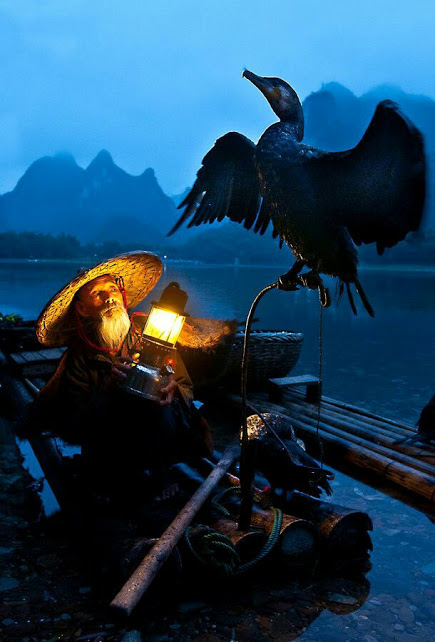 cormorant_old_man