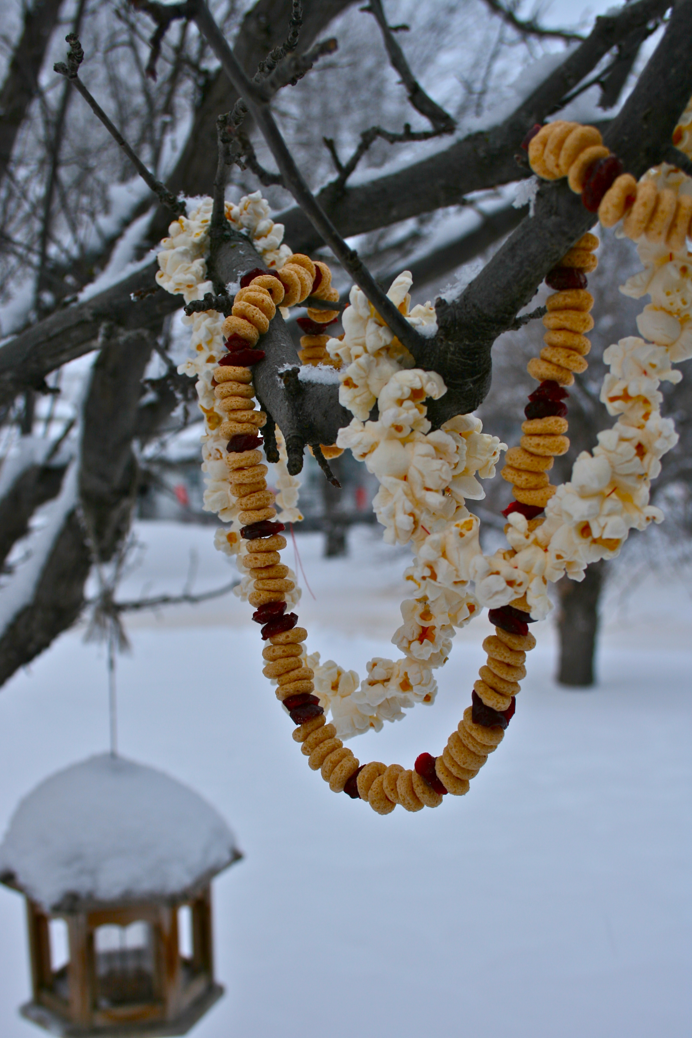 dec-photo-pagan-yule