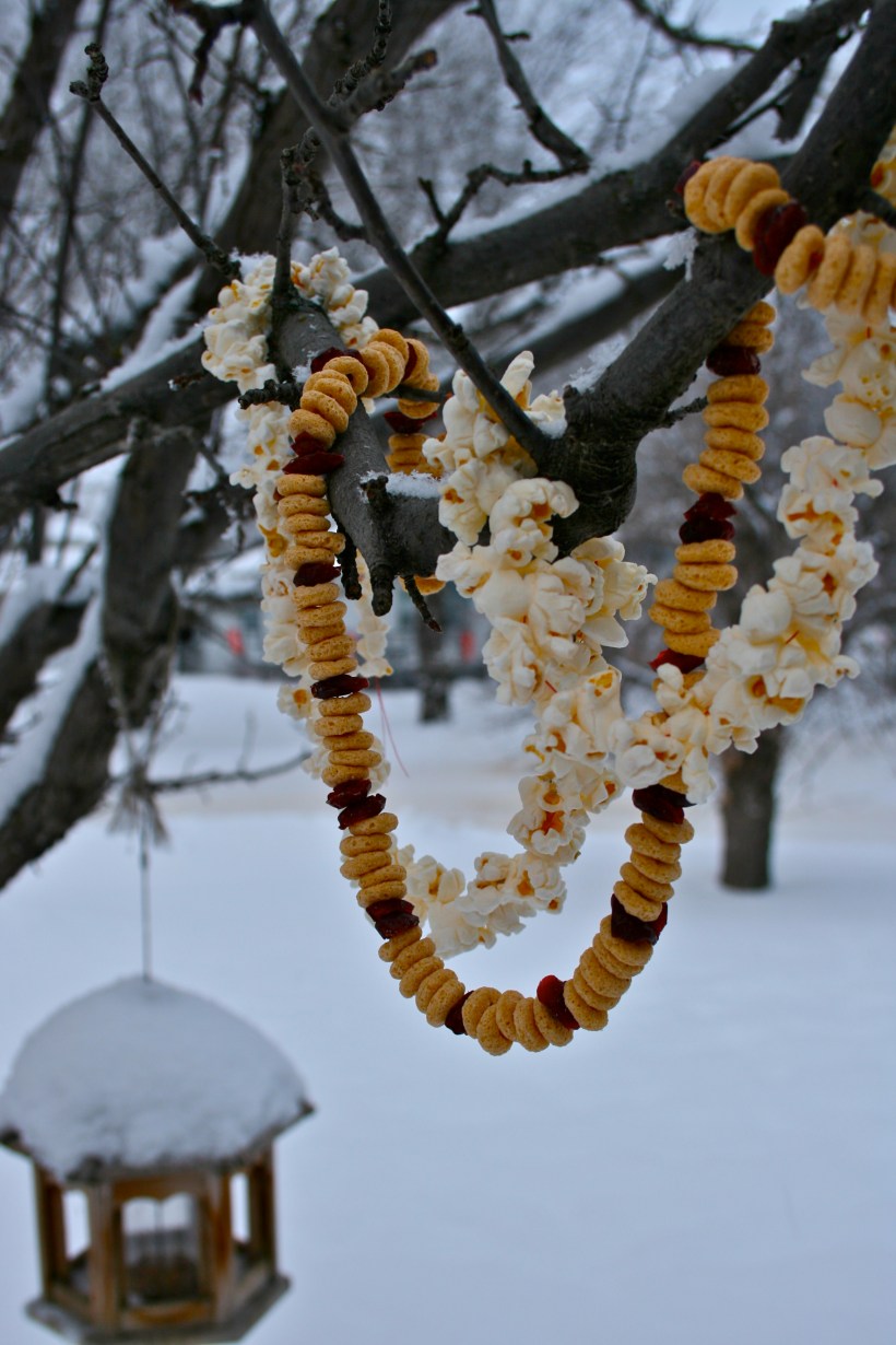 dec-photo-pagan-yule