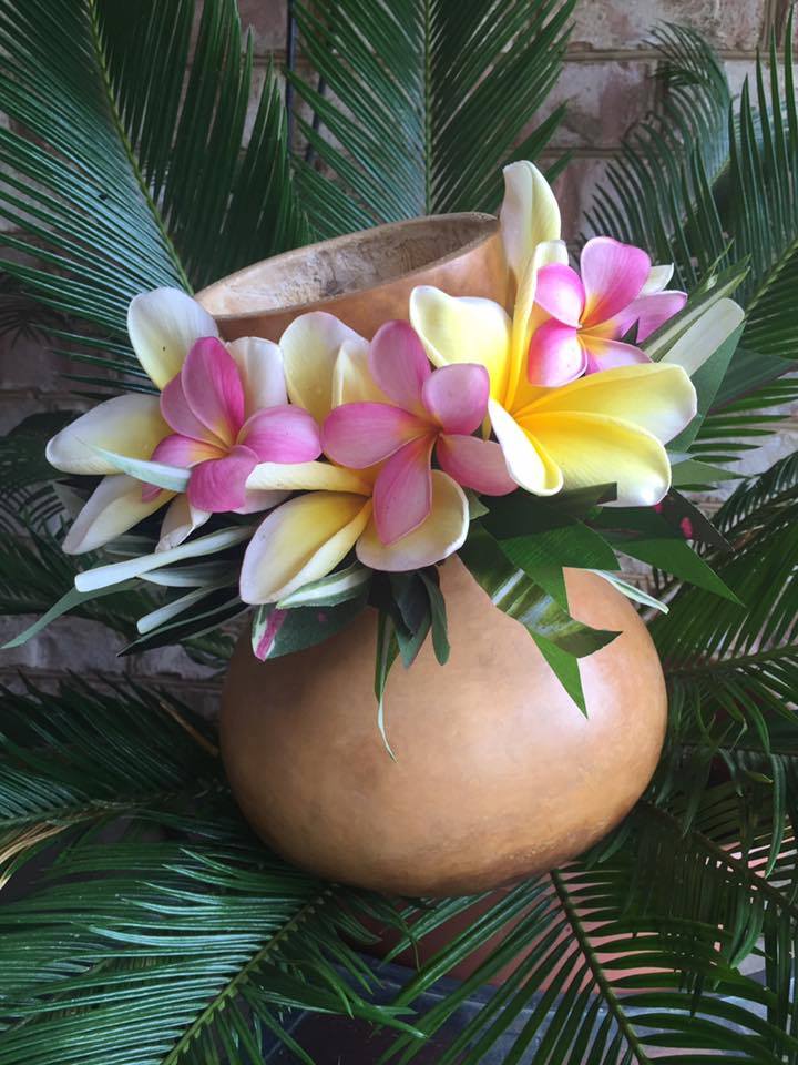 aloha-ipu