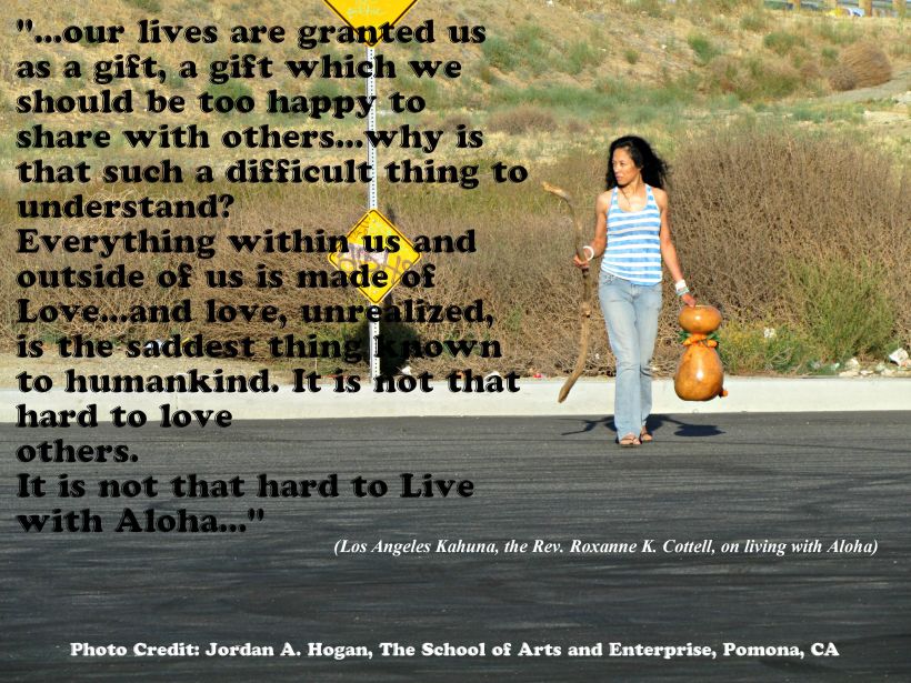 June 5 2014 Living with Aloha Meme