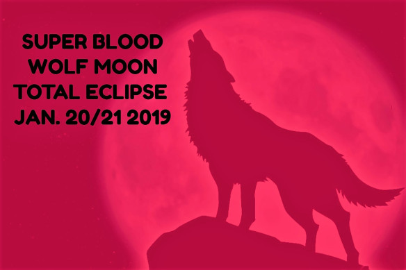 super Blood Wolf Leo Lunar Eclipse astrology Tara Greene
