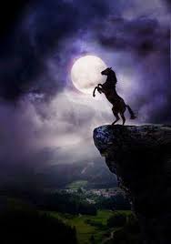 horse full moon