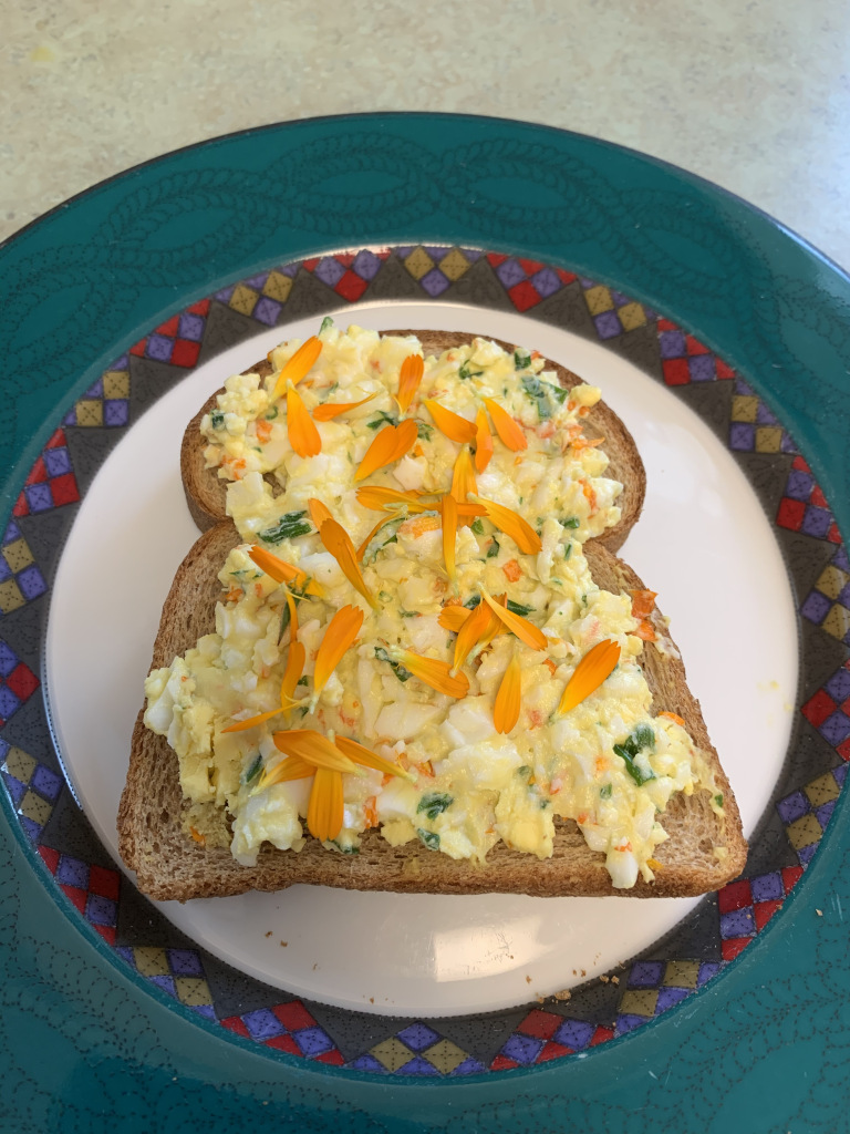 Calendula with egg salad