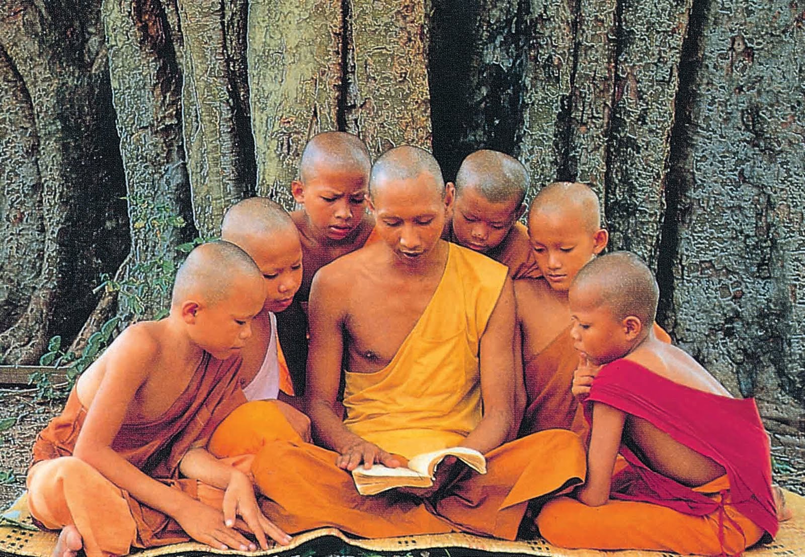 The Tree of Life: The 'Modern' Buddhists