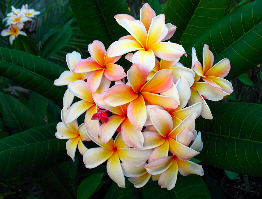 WMA Annual Meeting 2011: Tours & Talks | Western Museums ...